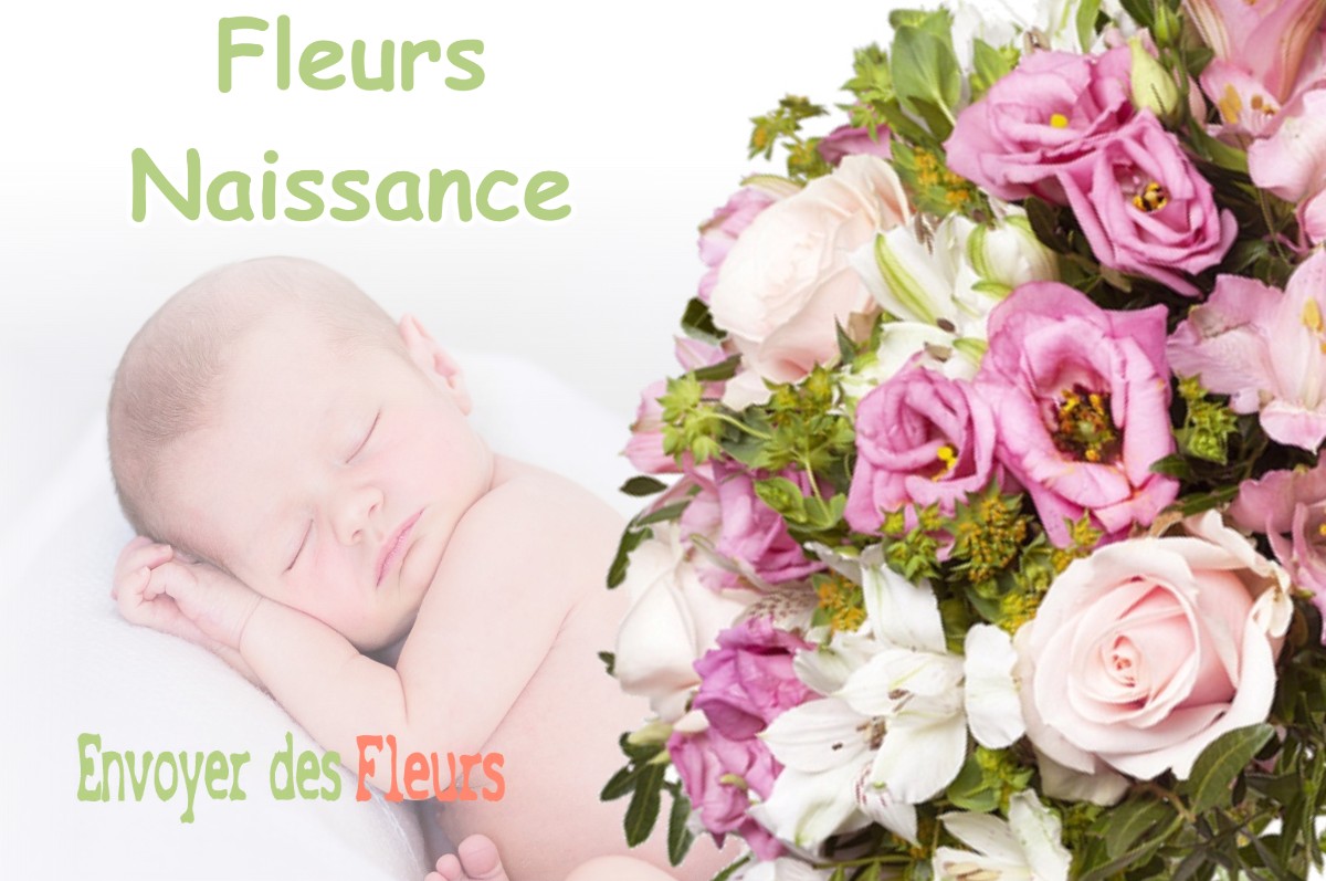 lIVRAISON FLEURS NAISSANCE à ESTENOS